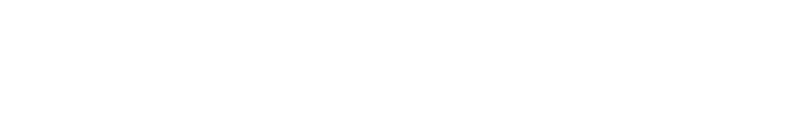 Partner 7